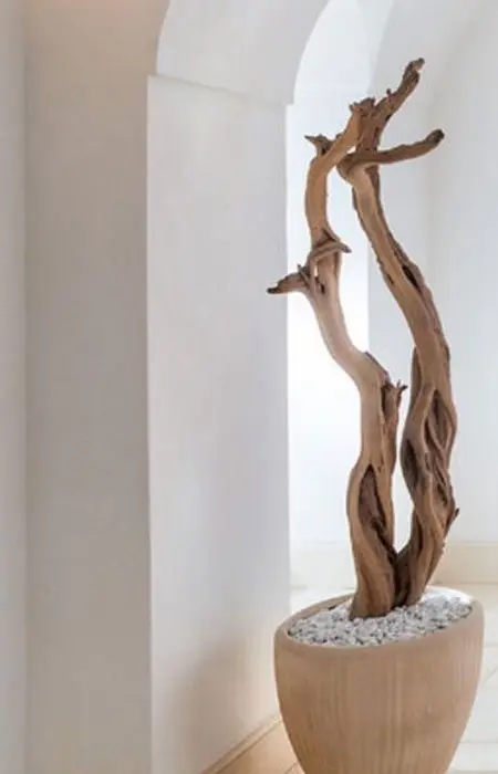 EJINBARA1979の内観